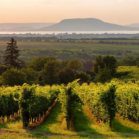 In 19297 * Балатонмариафюрдё