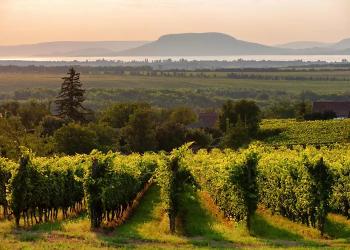 In 19297 * Балатонмариафюрдё